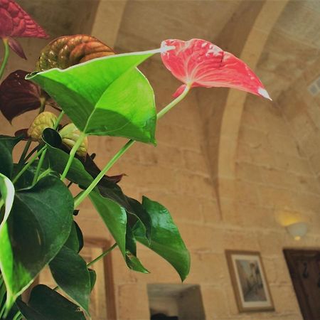 Encanto Vegetarian Bed & Breakfast Bed and Breakfast Xagħra Exteriör bild