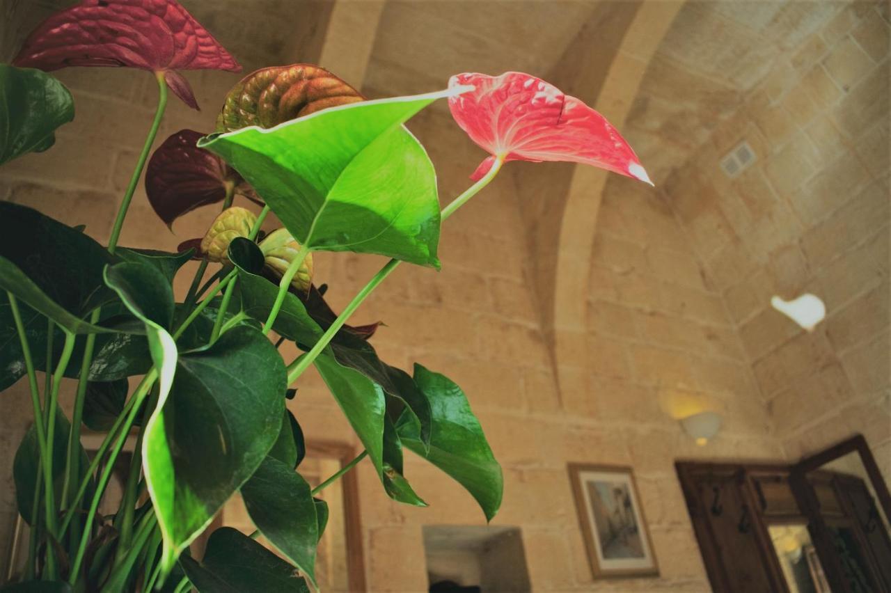 Encanto Vegetarian Bed & Breakfast Bed and Breakfast Xagħra Exteriör bild