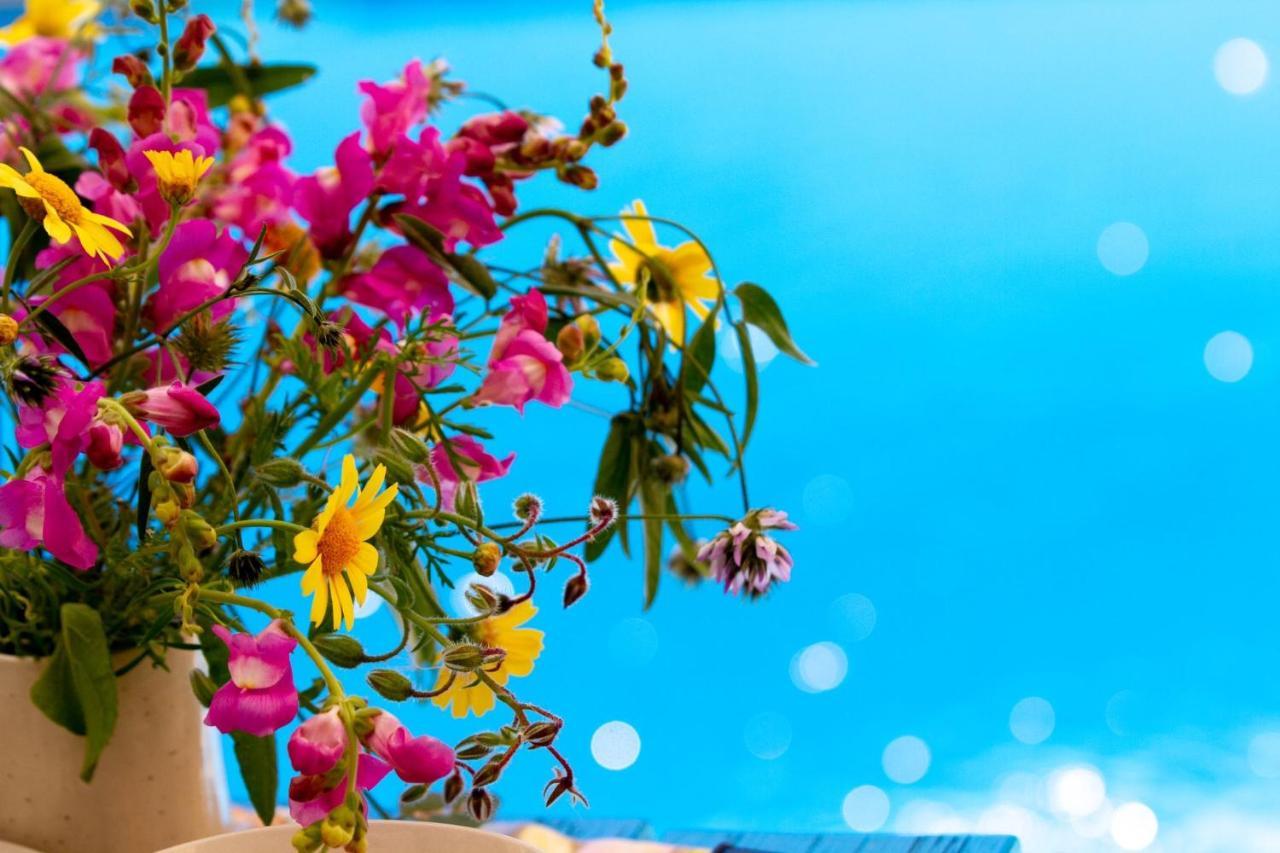 Encanto Vegetarian Bed & Breakfast Bed and Breakfast Xagħra Exteriör bild